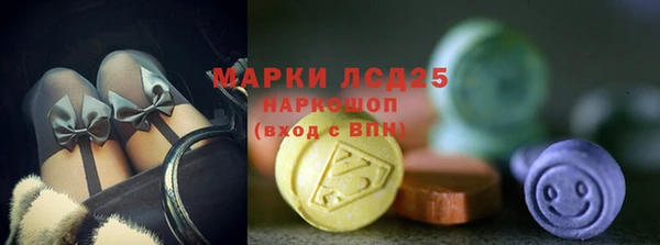 спиды Сосновый Бор