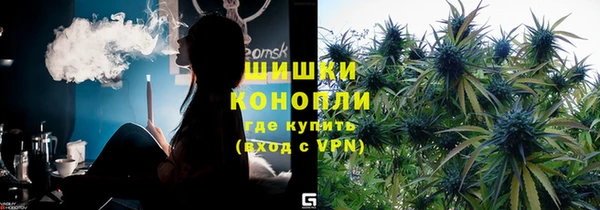 стафф Верхний Тагил